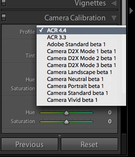 Adobe Lightroom 2 ACR Options